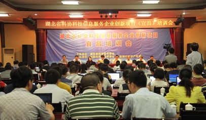 湖北省科學(xué)技術(shù)協(xié)會(huì) 賦能企業(yè)數(shù)字化轉(zhuǎn)型的信息技術(shù)咨詢服務(wù)