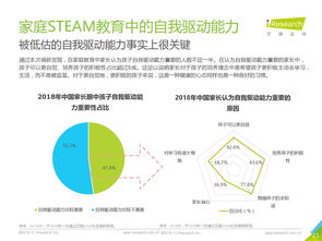 網絡服務新篇章 互聯網數據資訊中心與199it的融合創新